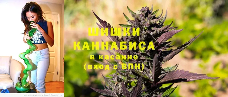 Канабис White Widow  Реутов 